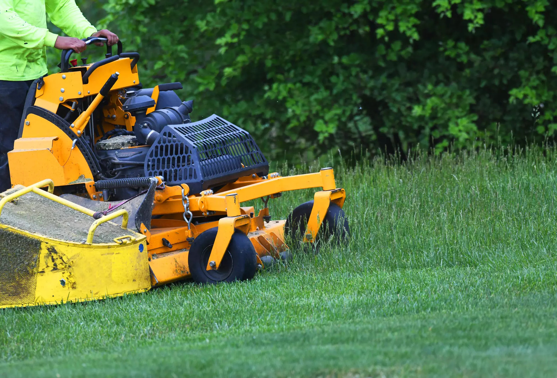 Transform Your Outdoor Space with Expert Lawn Care Services