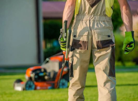 Professional Scottsdale Landscaping Offers Expert Yard Clean-up Services in Phoenix