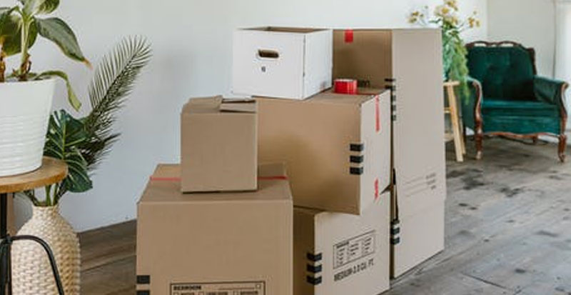 Forest Moving and More LLC: The Premier Moving Solution in Portland and Beyond